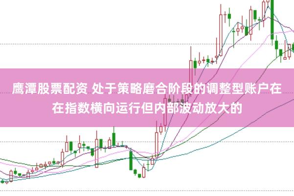 鹰潭股票配资 处于策略磨合阶段的调整型账户在在指数横向运行但内部波动放大的